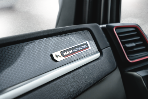MAN TGX Individual 7935 psd