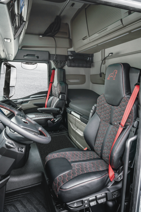 MAN TGX Individual 7995 var psd